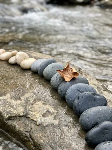 A collection of smooth river stones arranged by someone on a flat rock beside a stream. The stones are arranged by color gradient — from nearly white through greys to nearly black, forming a spectrum. Each stone is water-smoothed and ovoid. The stream is soft blur behind. A single fallen leaf sits on one stone. The arrangement is temporary art — it will be undone by the next high water. 50mm, f/4. Negative: person, text, watermark.